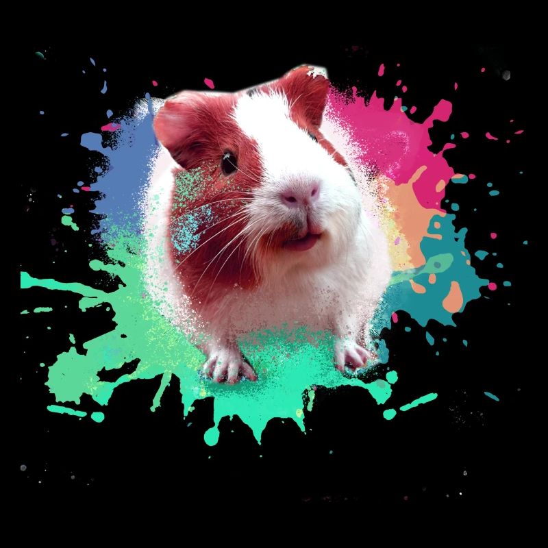 Cochons d’Inde, graffiti, peinture, coloré