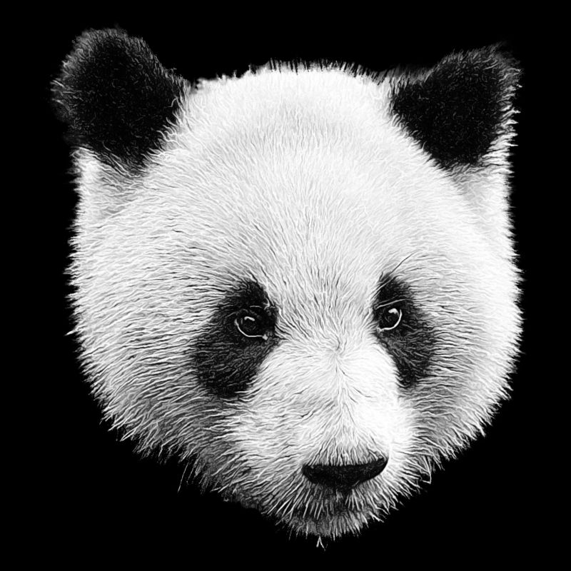 Panda Noir Blanc