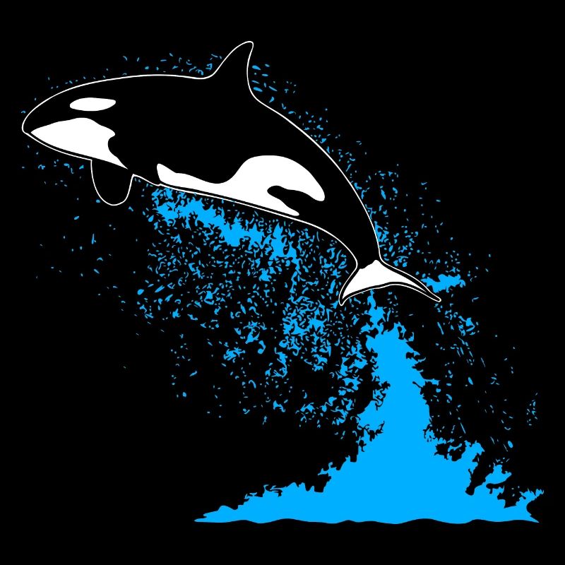 Orca, Killerwal, Schwertwal, killer whale, sea