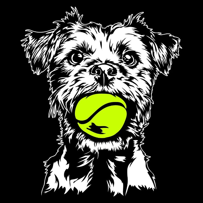Border Terrier Chien Chien Wilsigns