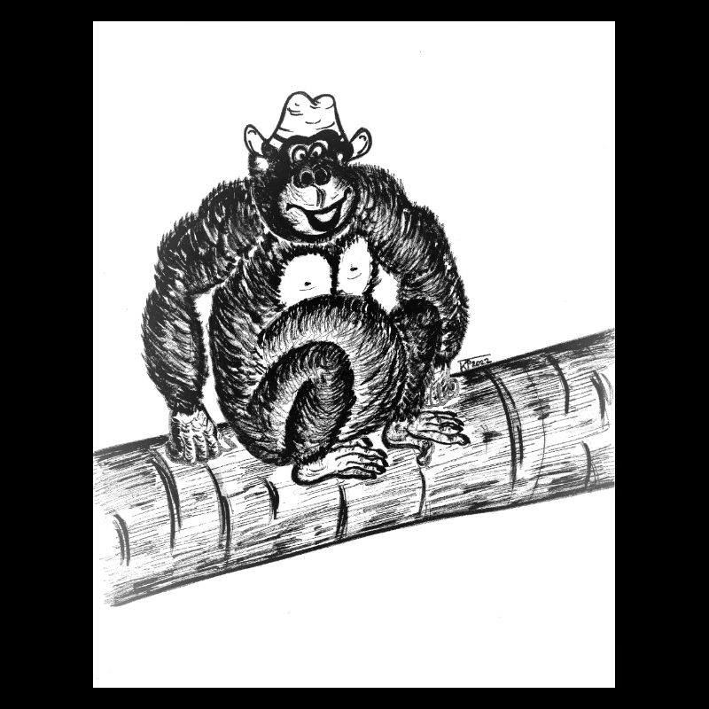 Gorilla