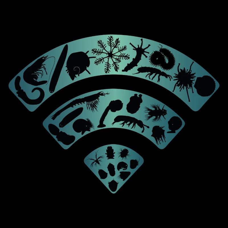 EvoDevo Signals