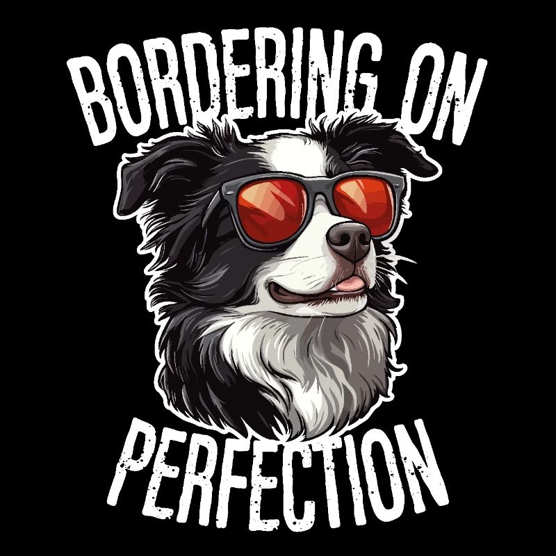 Border Collie Dog Border Collie Bordering On