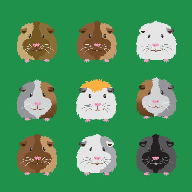 Nine guinea pigs faces