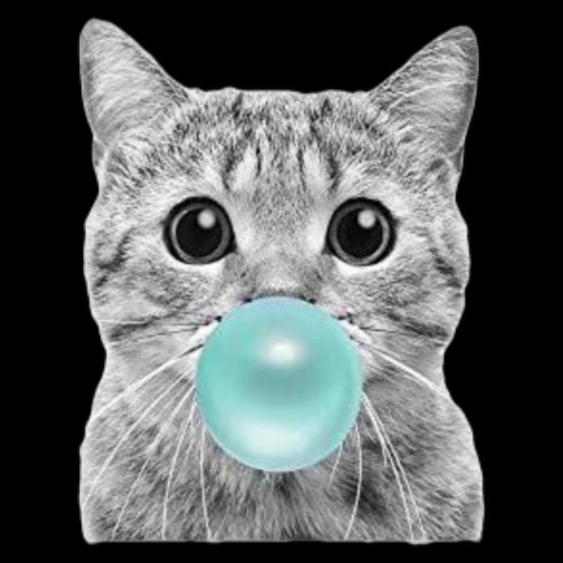coole Katze