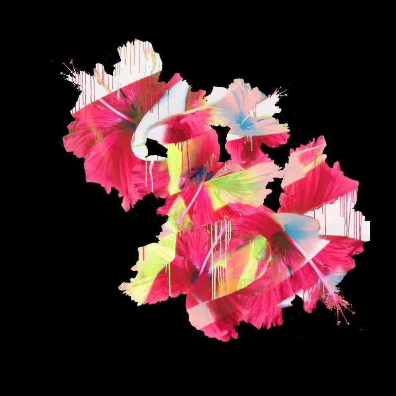 Hibiscus,Fleur,Lotus,Fleur ,Floral,Graffiti