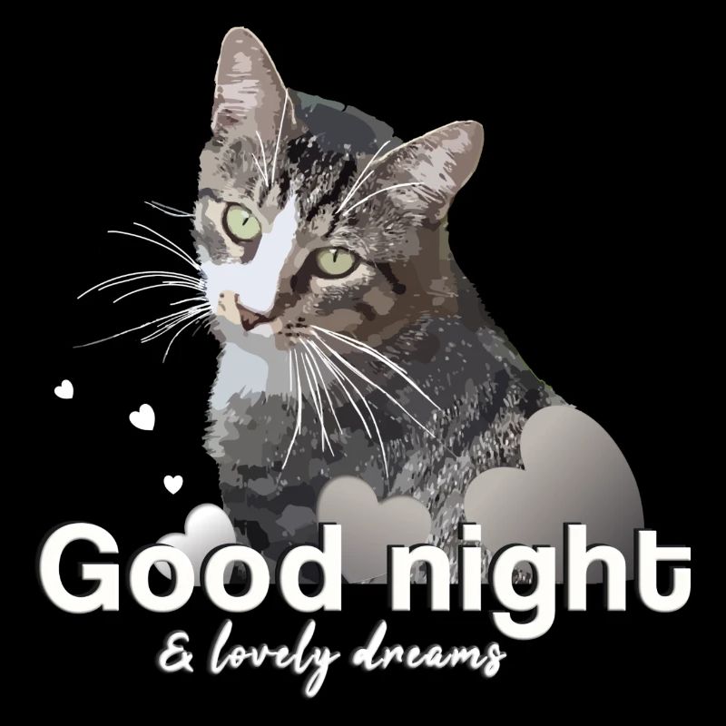 Sleep shirt good night good night