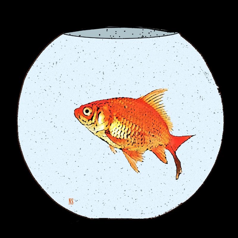 Poisson rouge