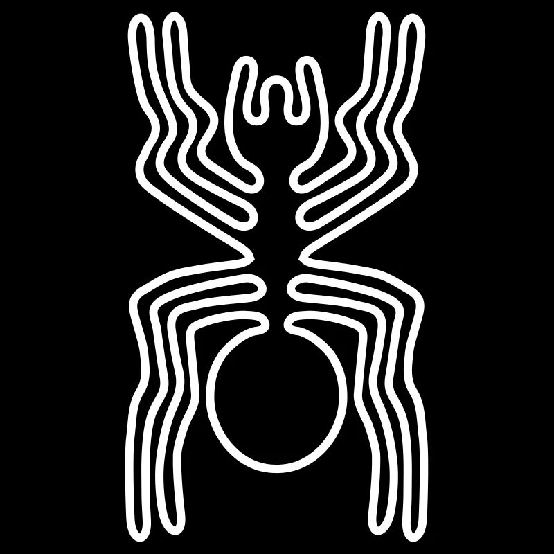 Spider Nazca