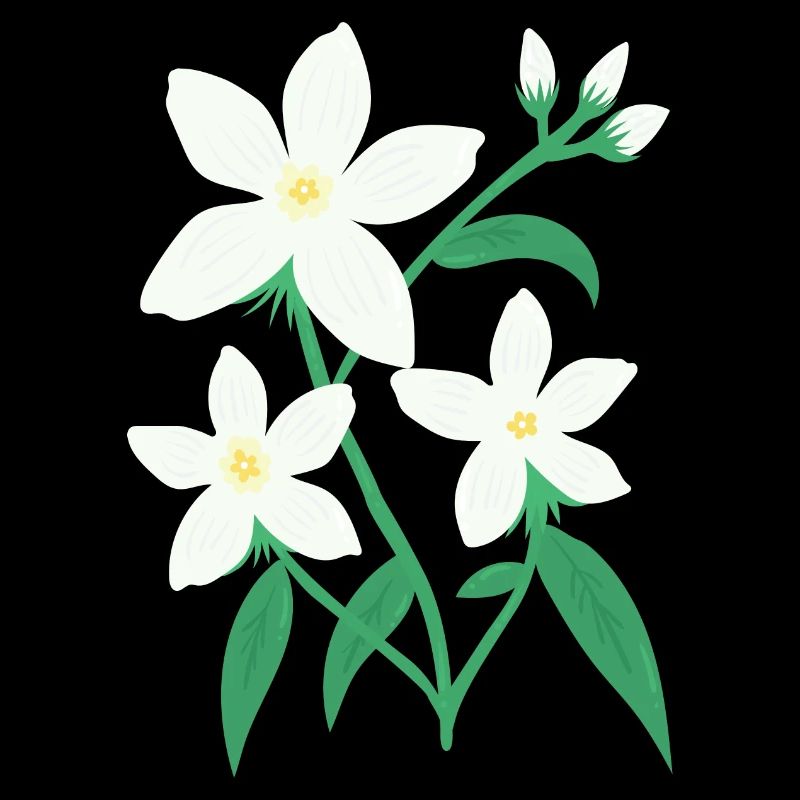 Jasmin
