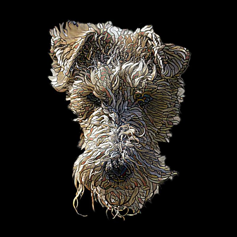 Visage de Fox Terrier