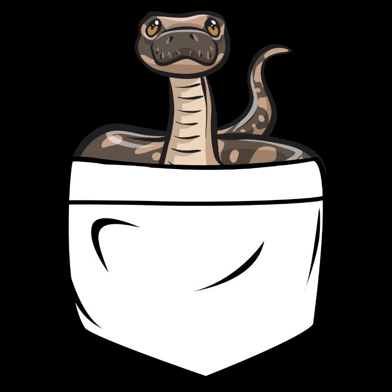 Ball Python Schlange Königspython