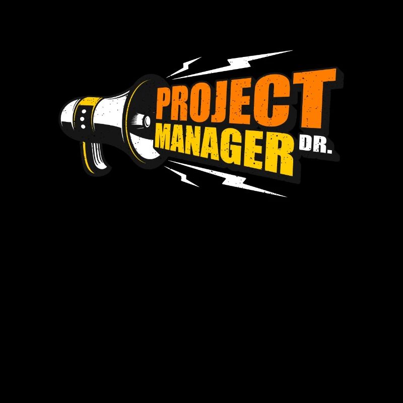 Chef de projet Gestion de projet Dr Chef d’équipe