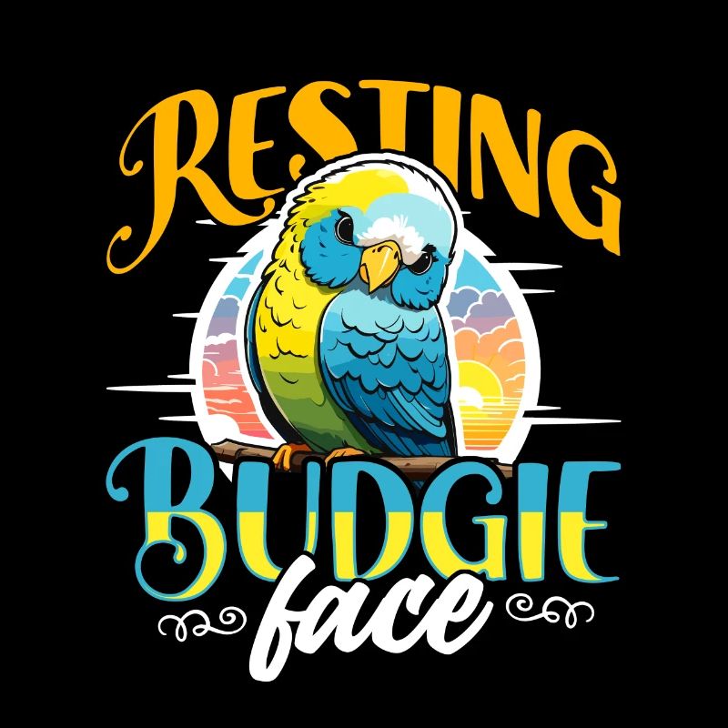 Perruche au repos Perruche visage Perruche Bird Lover