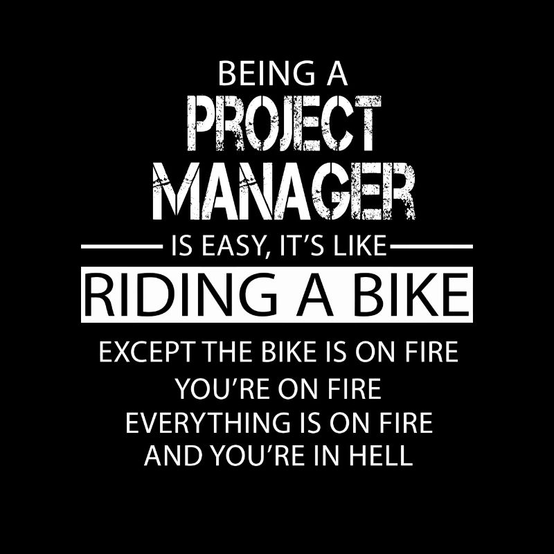 Project Manager
