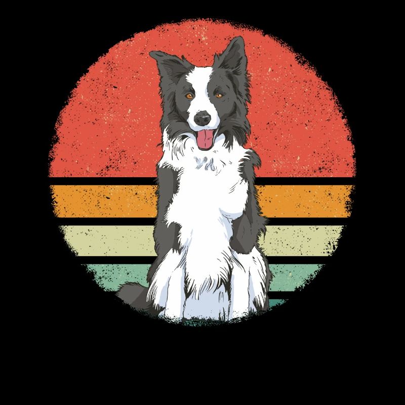 Border Collie Propriétaire de chien