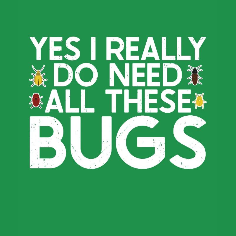 Insect
