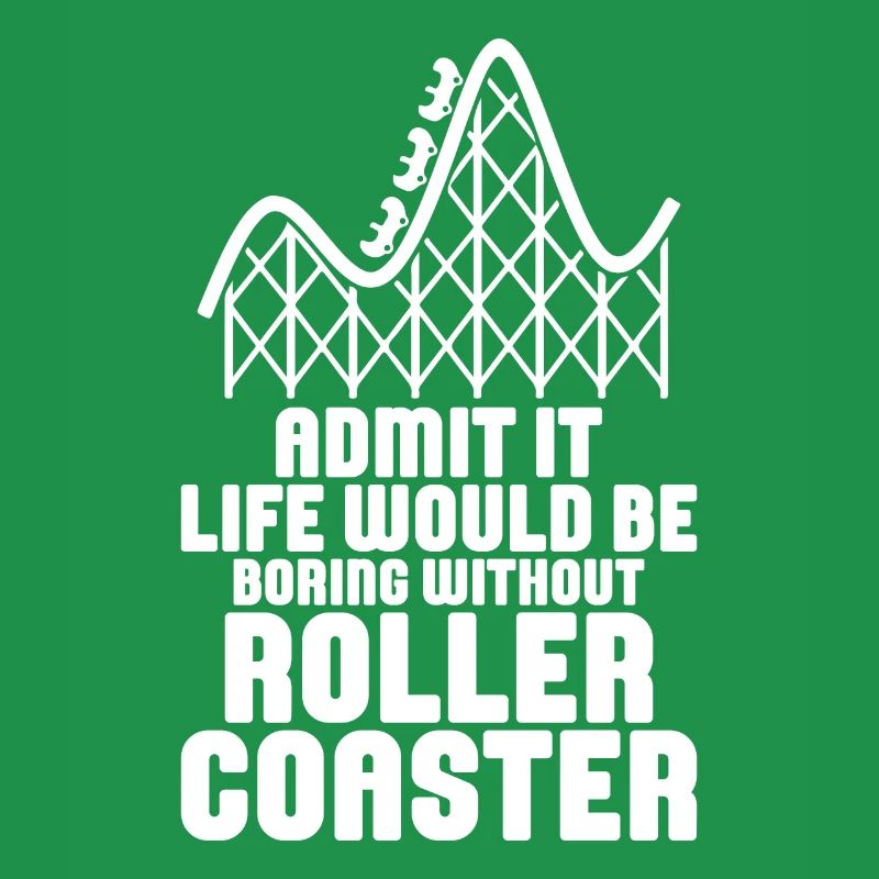 Roller Coaster Amusement Park Roller Coaster Ride