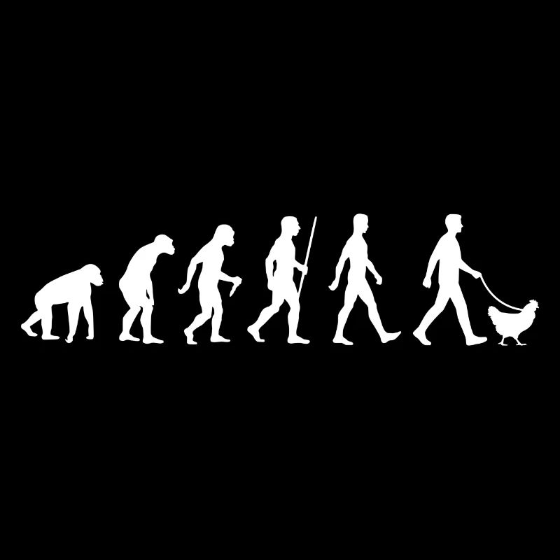 Élevage de poulets Evolution Développement de l’élevage de poulets