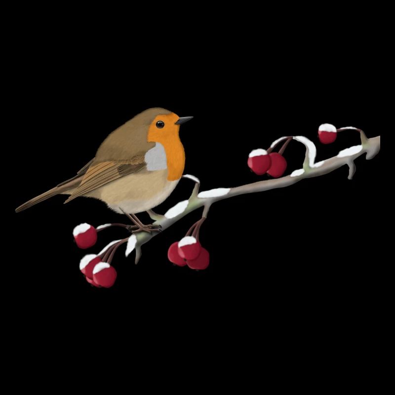 Rotkehlchen Vogel auf einem Ast Vogelbeobachter