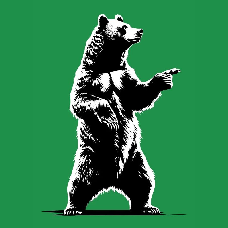 Ours explicatif de danse | Index de l’enseignant