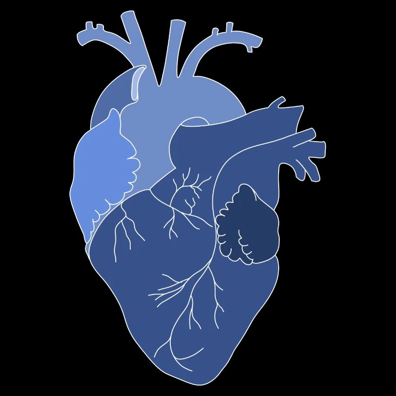 anatomisches Herz, Outline weiß