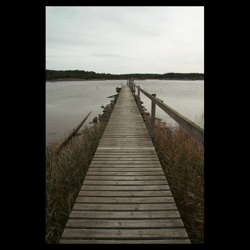 bridge