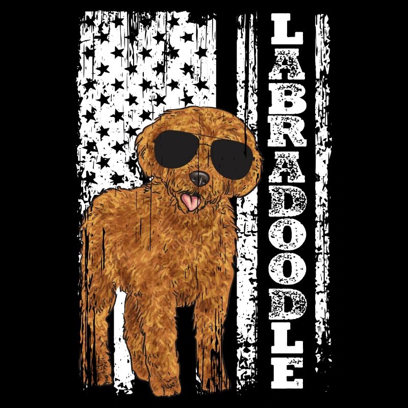 Labradoodle Hund