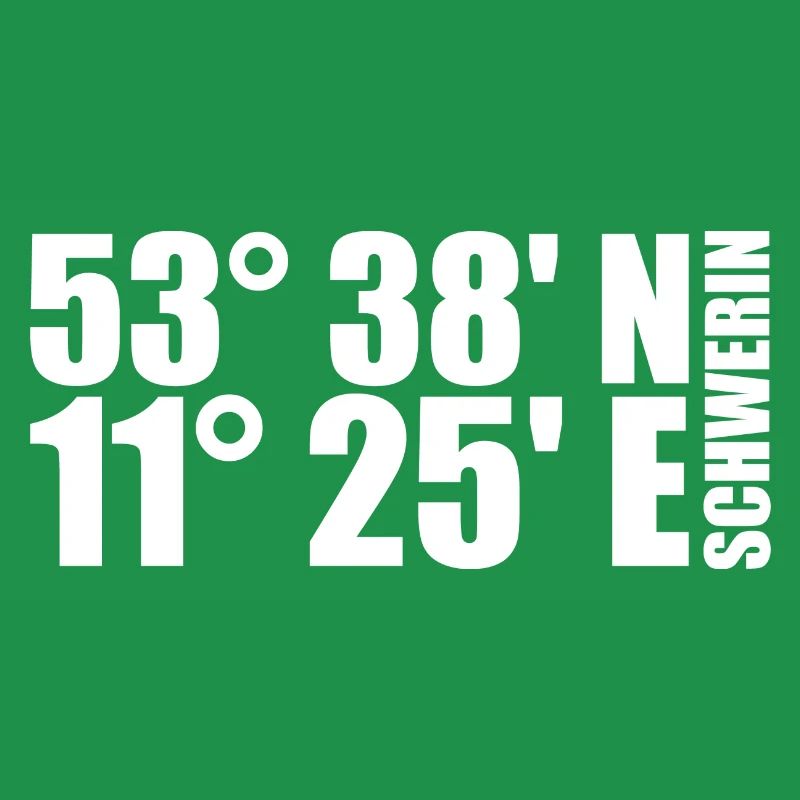 Schwerin coordinates
