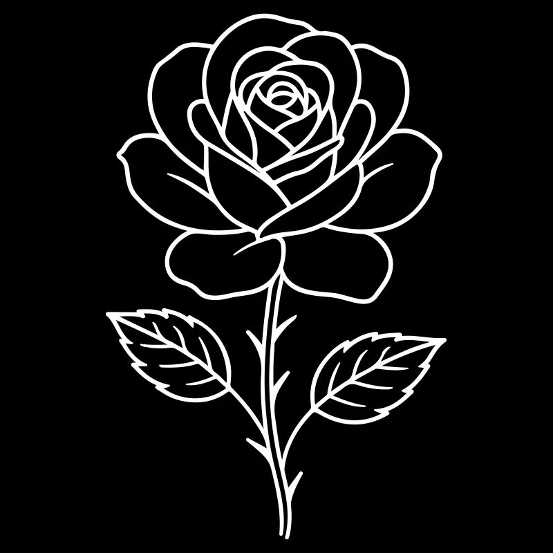 Rose Contour