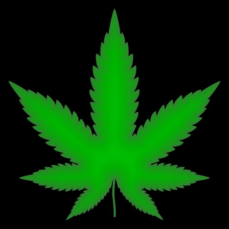 Feuille de marijuana