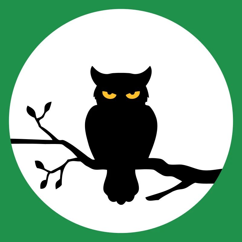 Eule im Vollmond