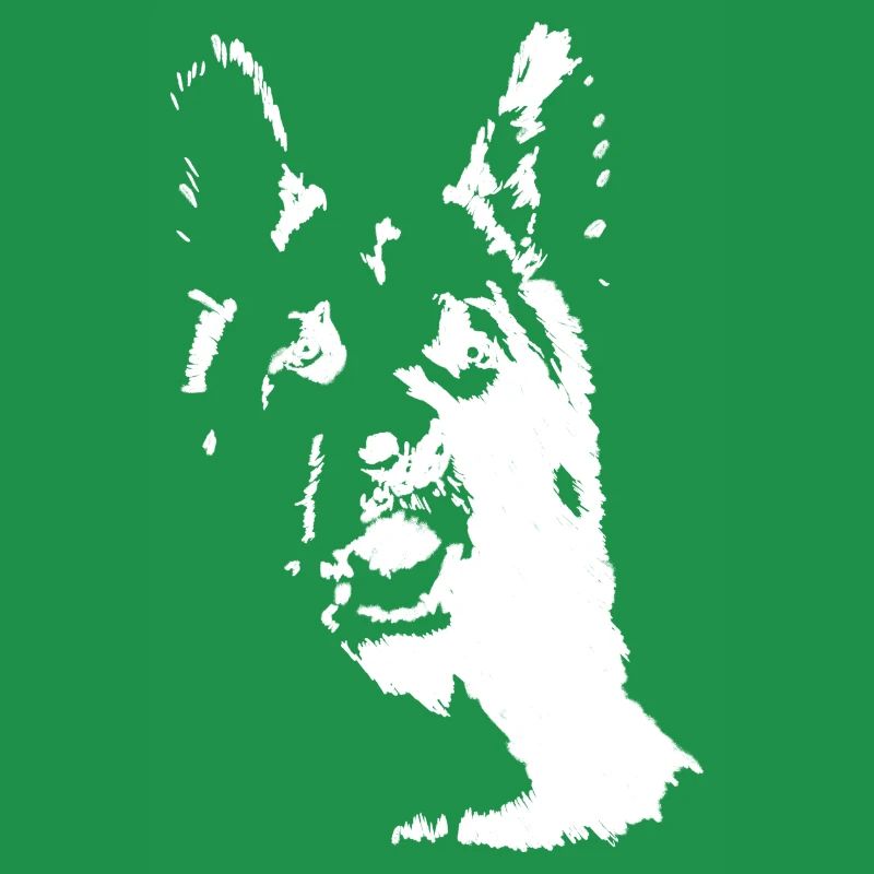 Deutscher Schäferhund Frontalansicht