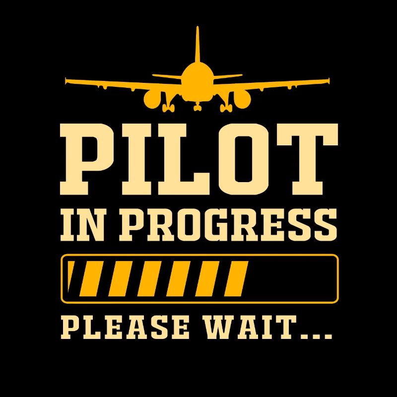 Pilot Flugzeug