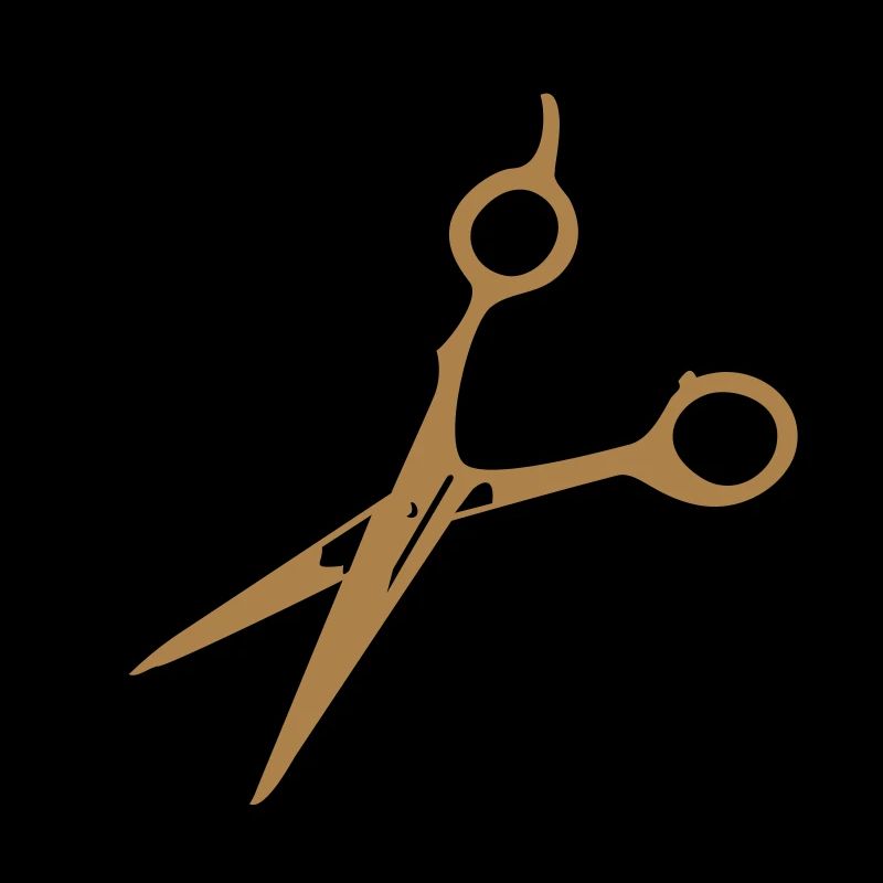 ciseaux de coiffeur / scissors (1c)