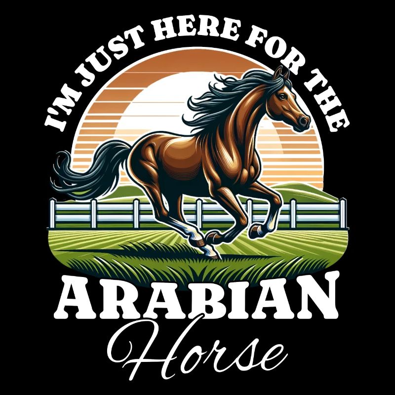 Arabian Pferd Reiter