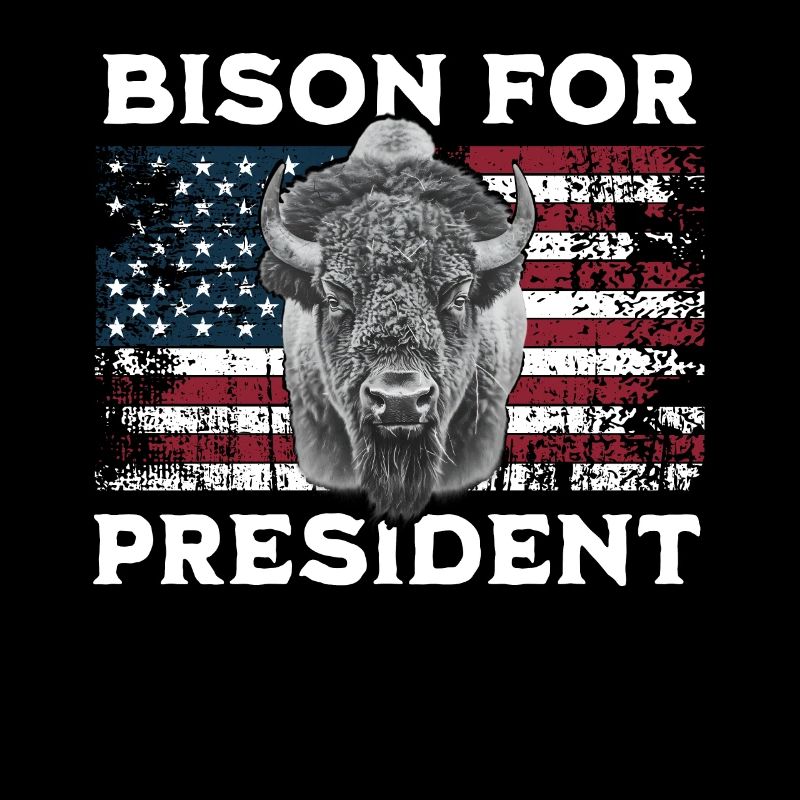 Bison pour la présidence
