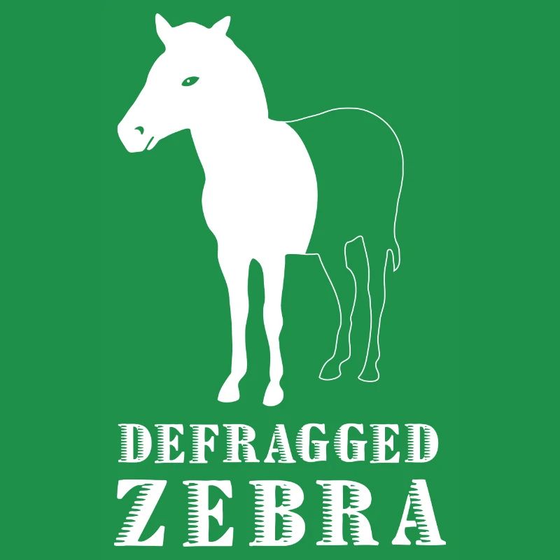 Defragged Zebra Informatiker Admin Geek Geschenk