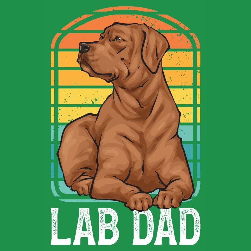 Fuchsroter Labrador Retriever Fox Red Labrador