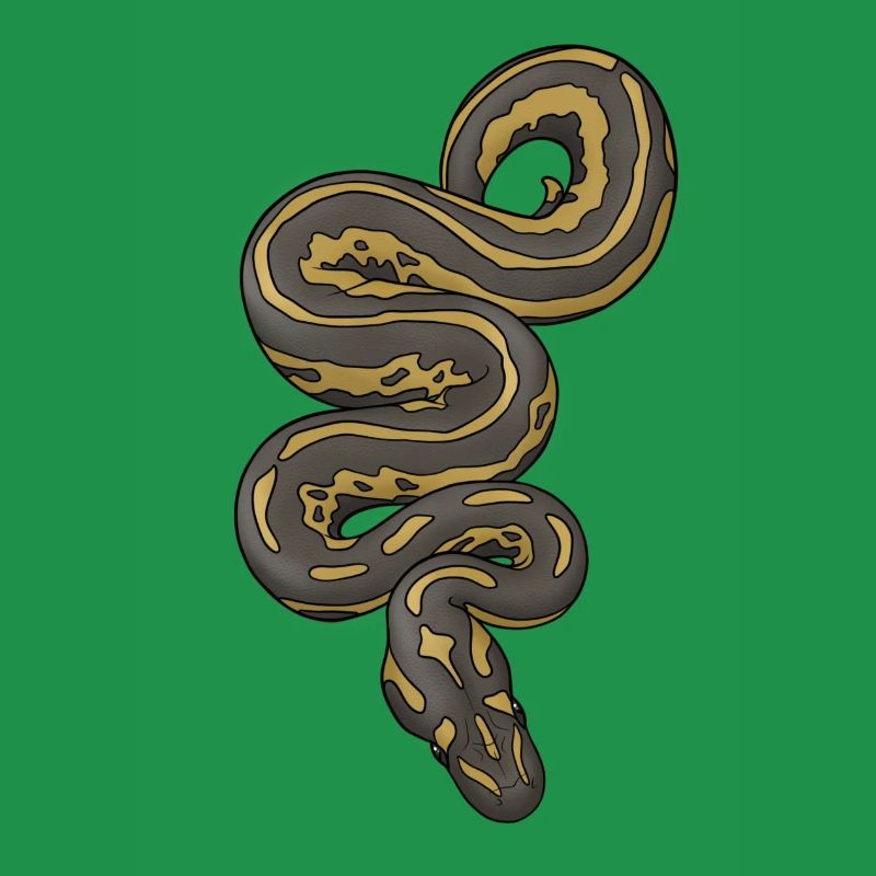 Python/Schlange