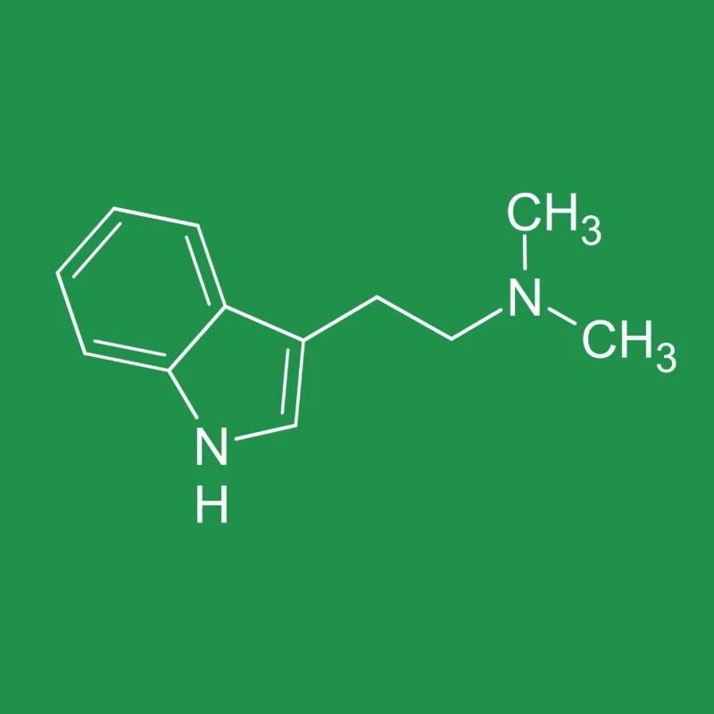 DMT dimethyltryptamine formule structurelle