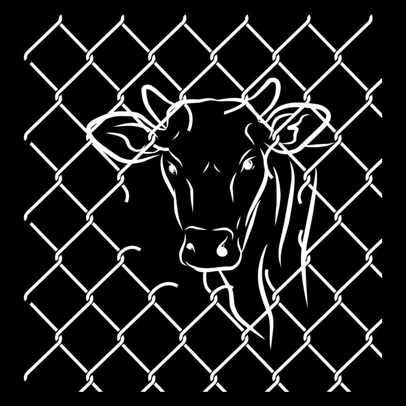 Animal Rights