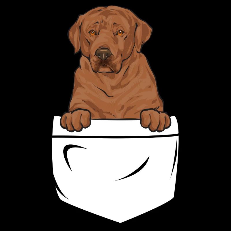Foxred Labrador Fox Red Labrador Retriever