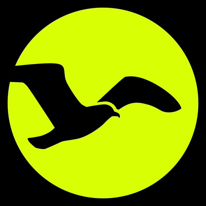 Goéland mouette