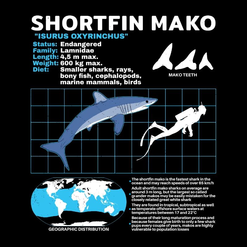 Makohai fact sheet