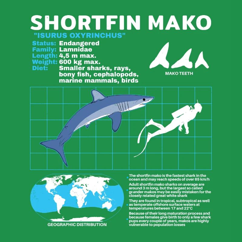 Fiche d’information sur Makohai