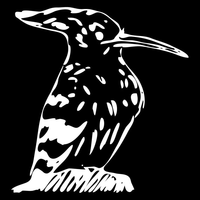Oiseau Hoopoe-like