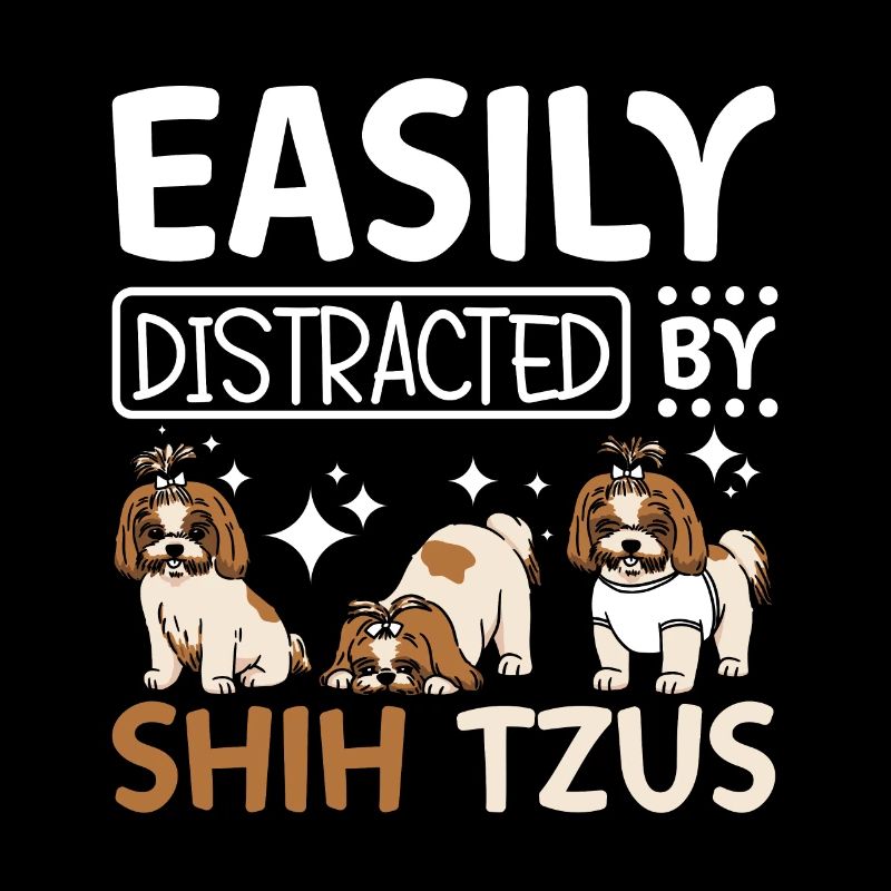 Facilement distrait par les shih tzus