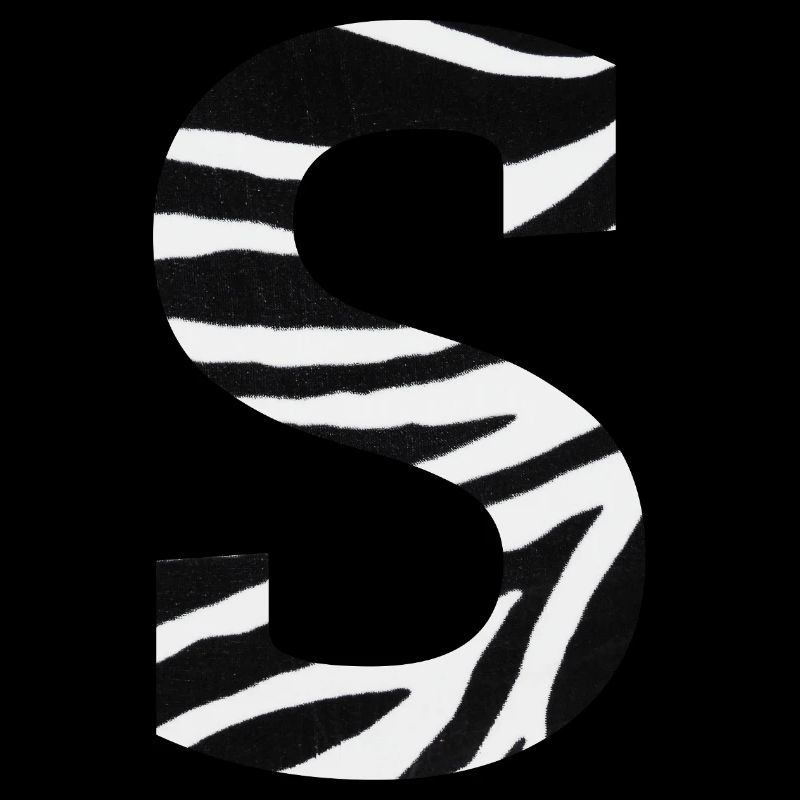 Letter s zebra