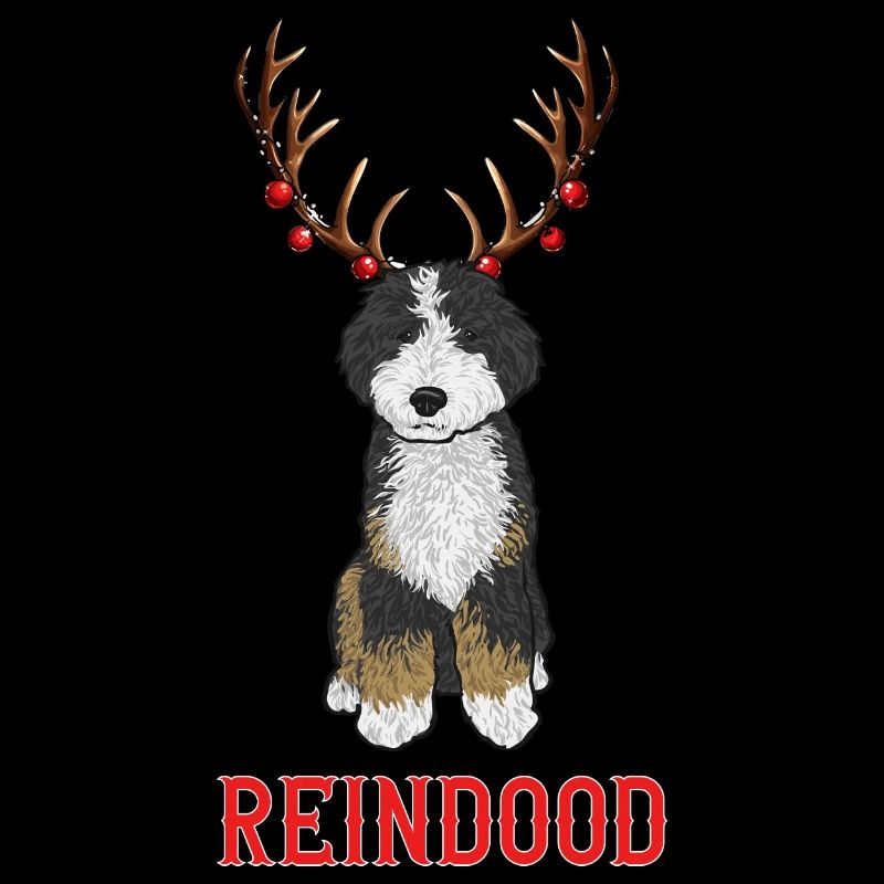 Bernedoodle Hund